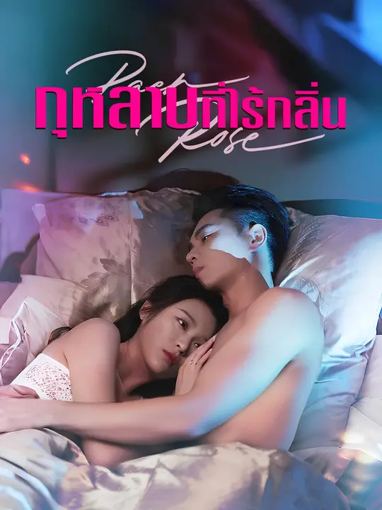 กุหลาบที่ไร้กลิ่น