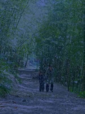 ดาวนำโชคของท่านผู้บัญชาการ