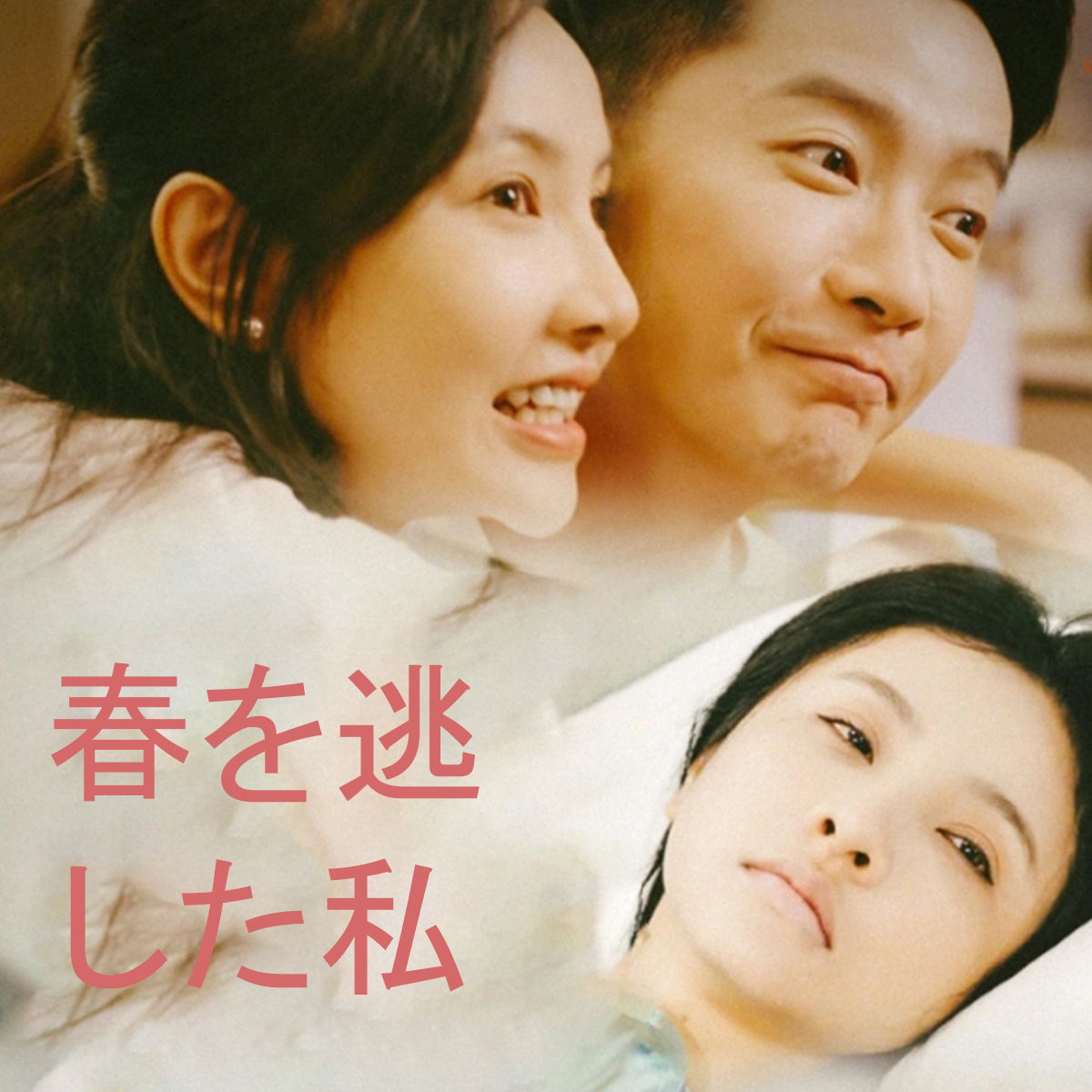 错过春天的我