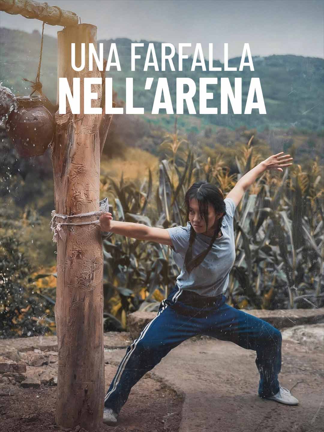 Ein Schmetterling in der Arena