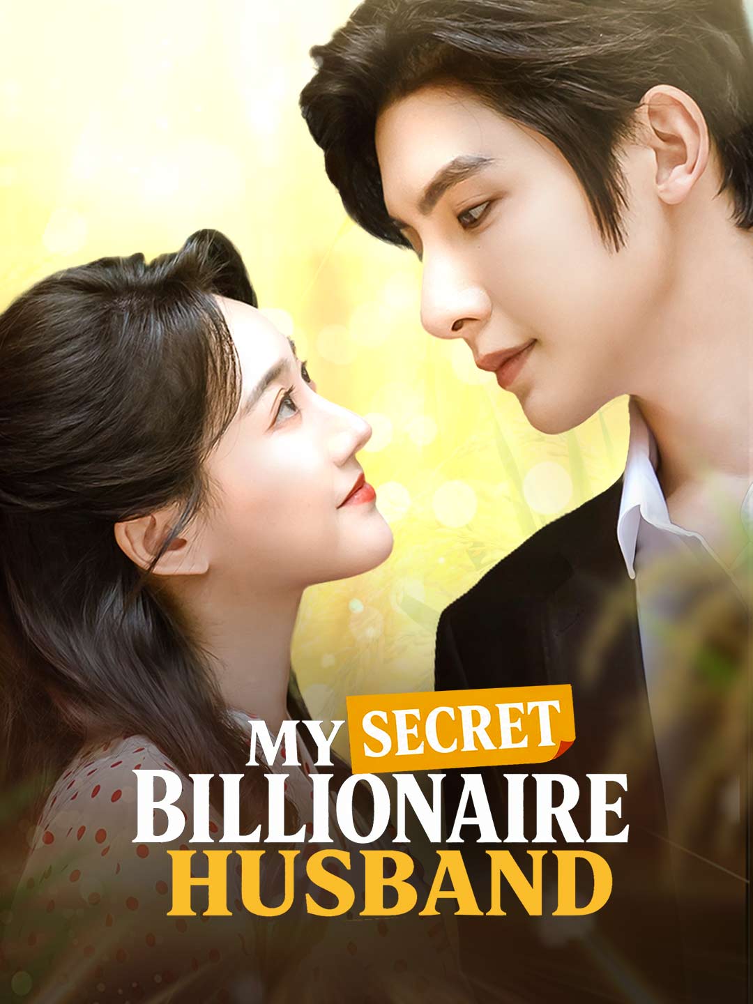 My Secret Billionaire Husband