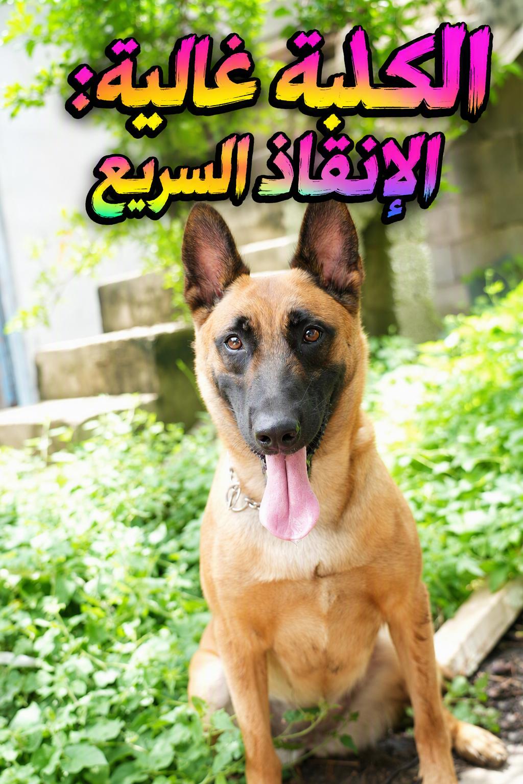 المشرد الذي أنقذني