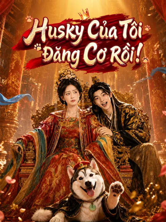 Husky Của Tôi Đăng Cơ Rồi!