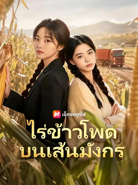 ไร่ข้าวโพดบนเส้นมังกร