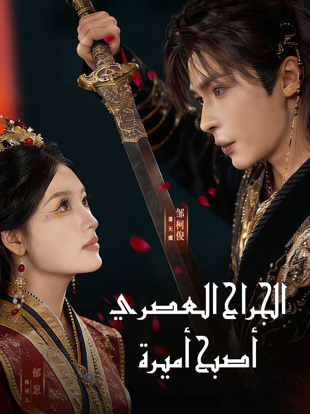 Moderne Chirurgin wird Prinzessin