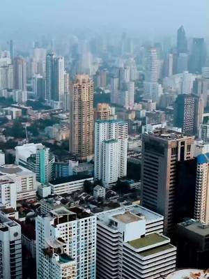 Bẫy Tình Của Chị Dâu