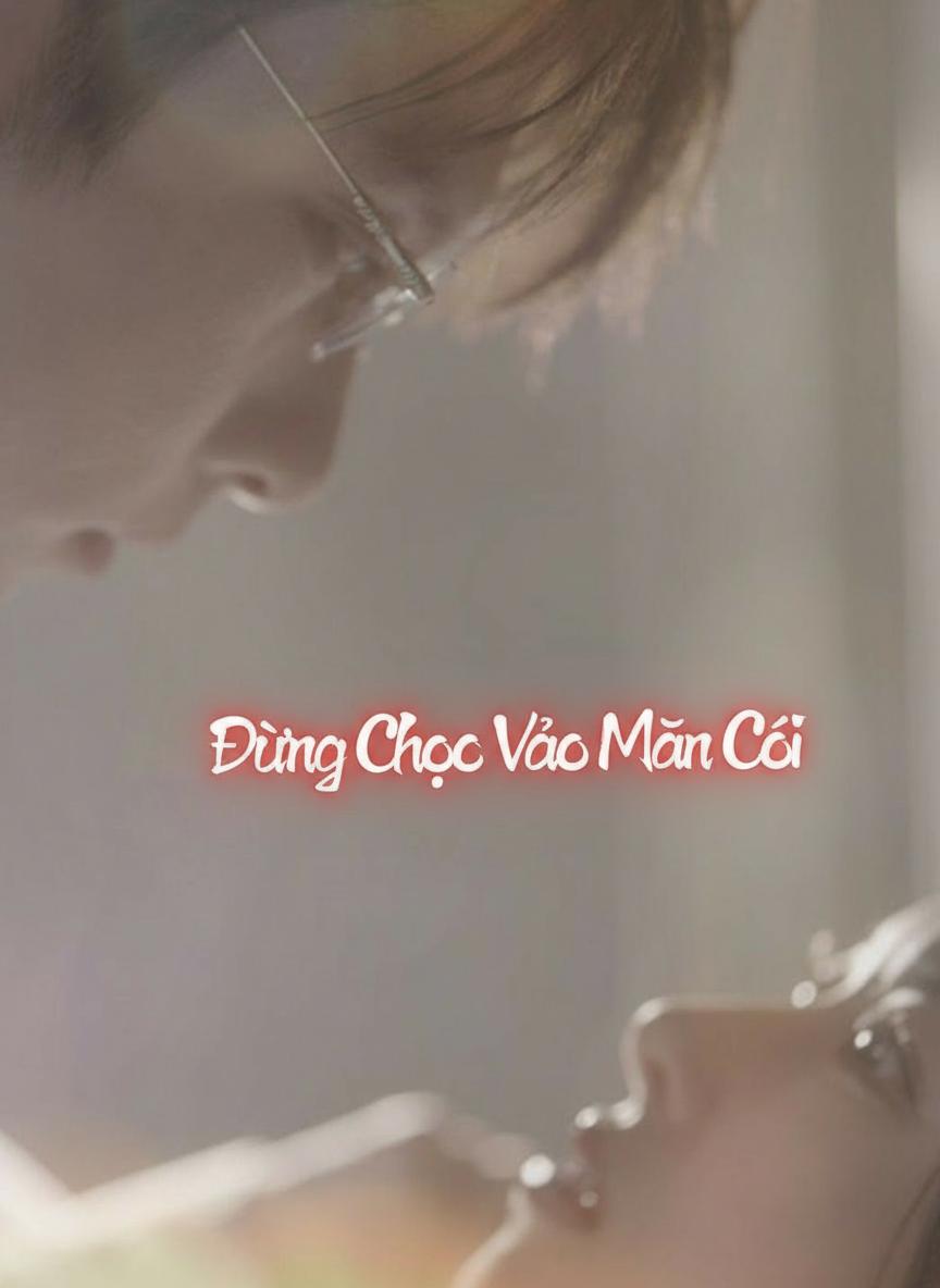 Đừng Chọc Vào Mân Côi