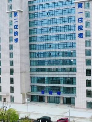 Con Gái Bí Mật Của Tổng Tài