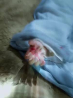 Vợ Tôi Là Yêu Vương