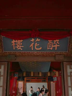 Thái Tử Phi Thay Thế
