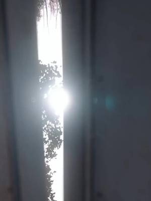 Trả Thù Người Chú Nhỏ