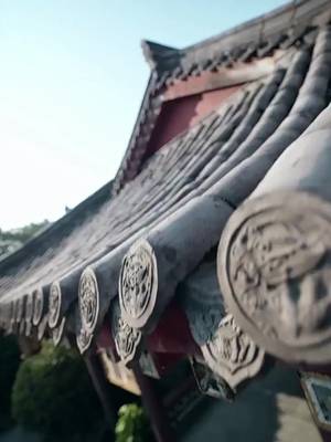 Nàng Vợ Bí Mật Của Tu La Vương