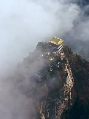 Vạch Trần Chàng Rể Tu Tiên