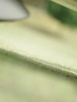 私の6人の兄とCEO