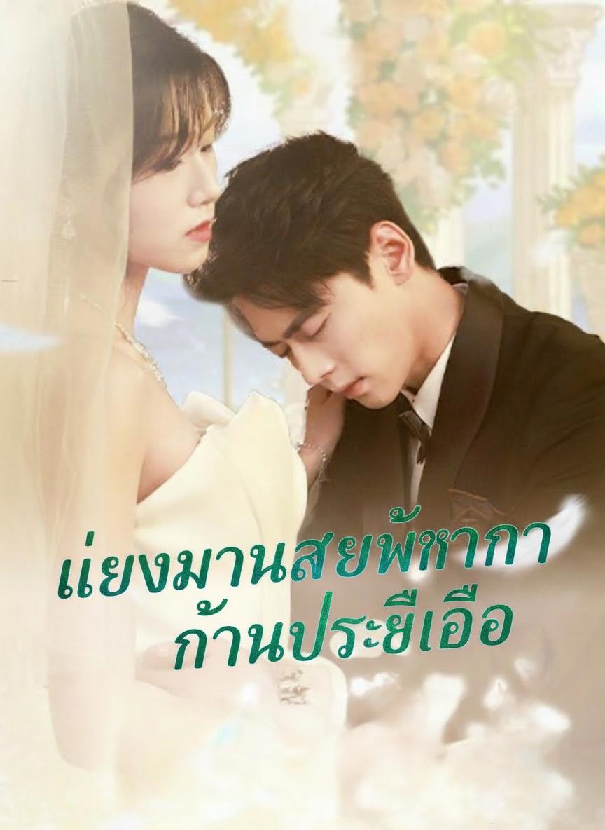 แต่งงานสายฟ้ากับซีอีโอ
