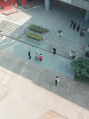 他藏於玫瑰之後