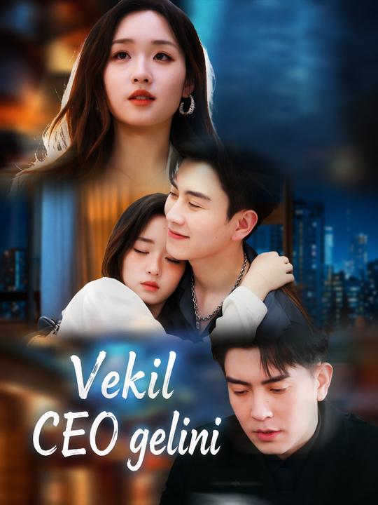 Vekil CEO gelini