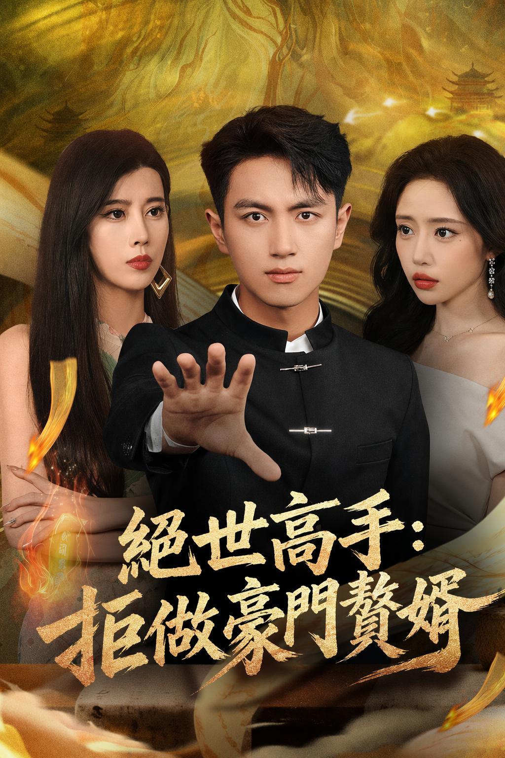 絕世高手：拒做豪門贅婿