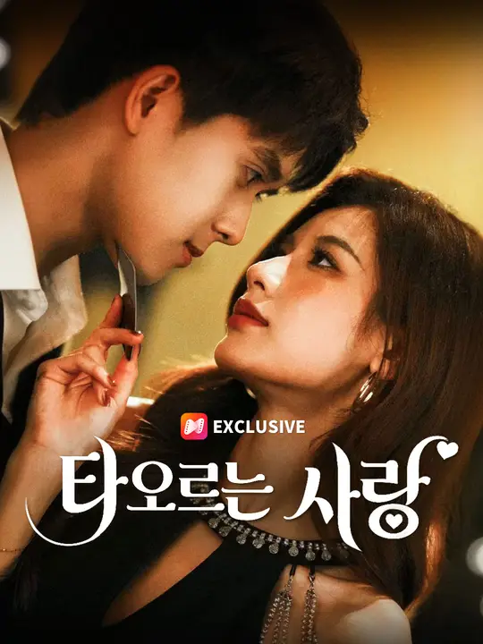 타오르는 사랑