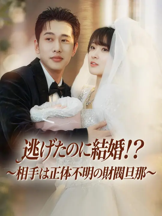逃げたのに結婚！？～相手は正体不明の財閥旦那～