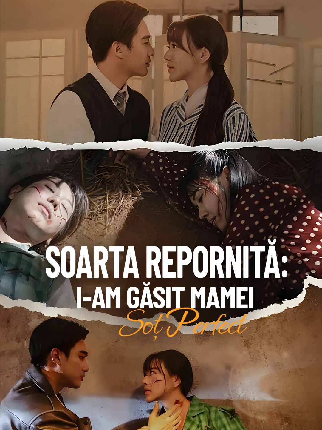 Soarta repornită: i-am găsit mamei soț perfect