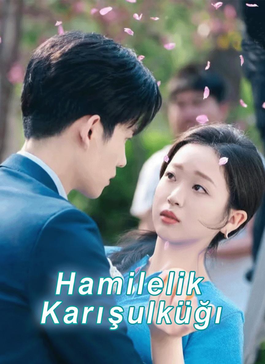 Hamilelik Karışıklığı
