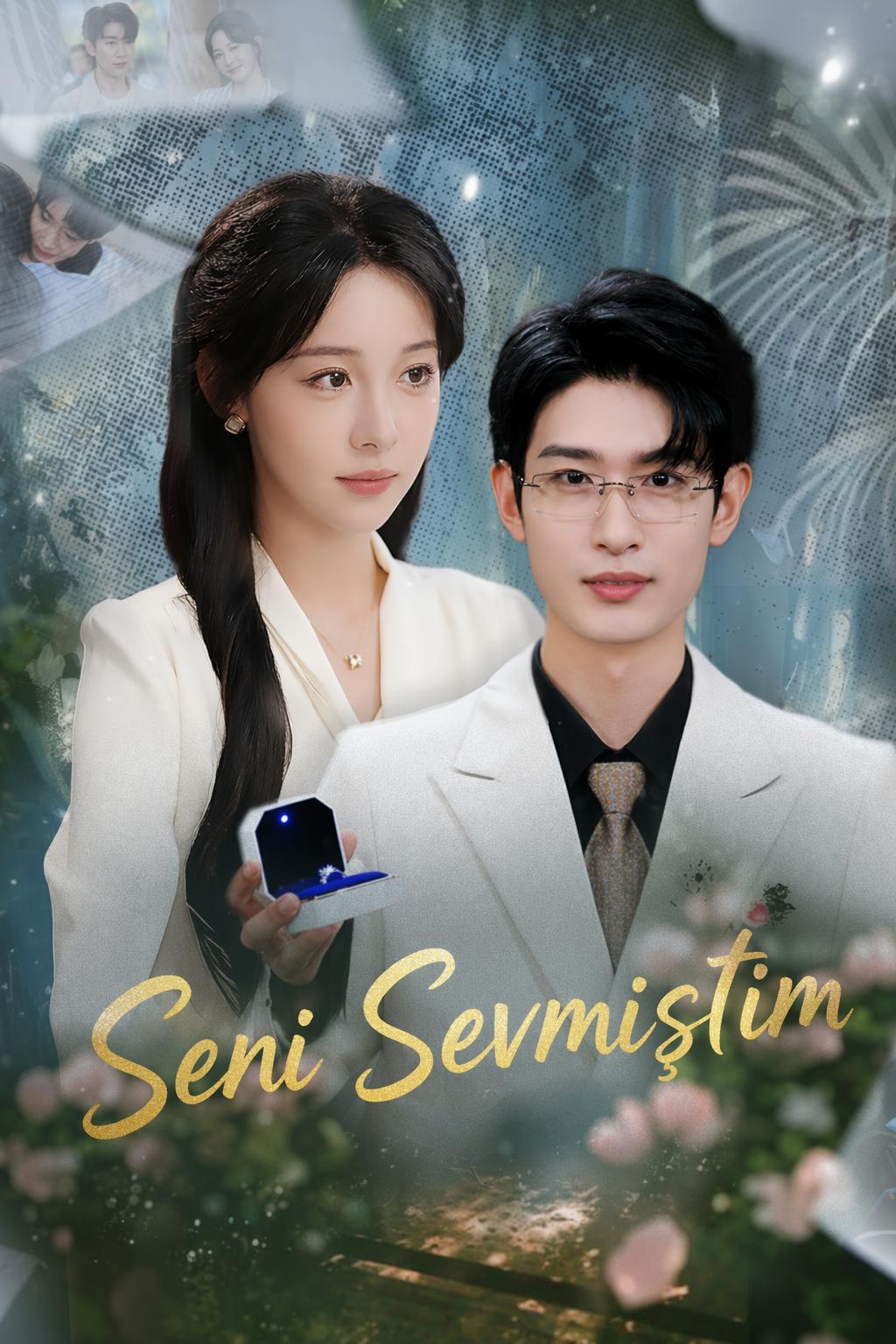 Seni Sevmiştim