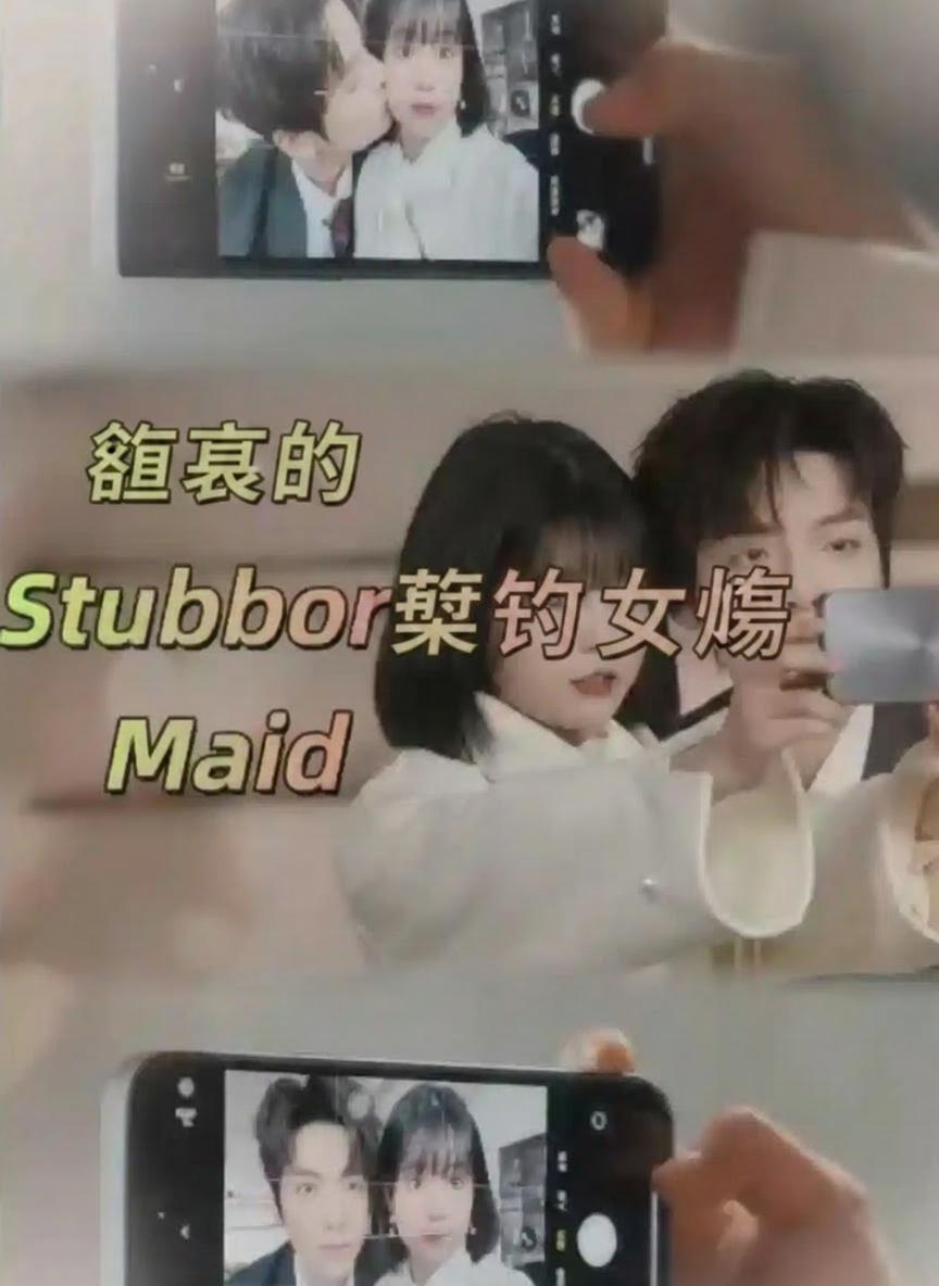 總裁的契約女傭