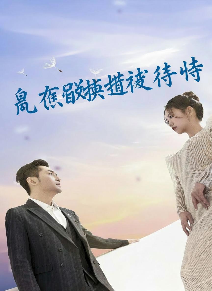 浪漫閃婚進行時