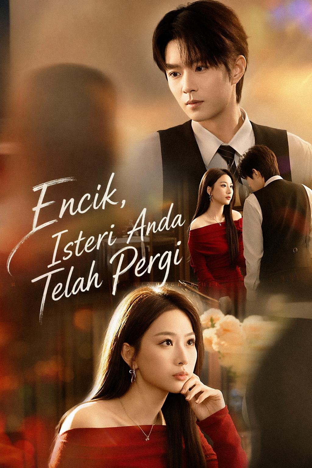 Encik, Isteri Anda Telah Pergi