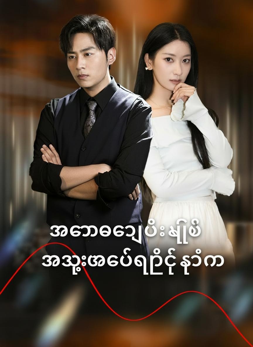 အကာအကွယ်အဖြစ် အသုံးချခံခဲ့ရတဲ့ ကျွန်မ