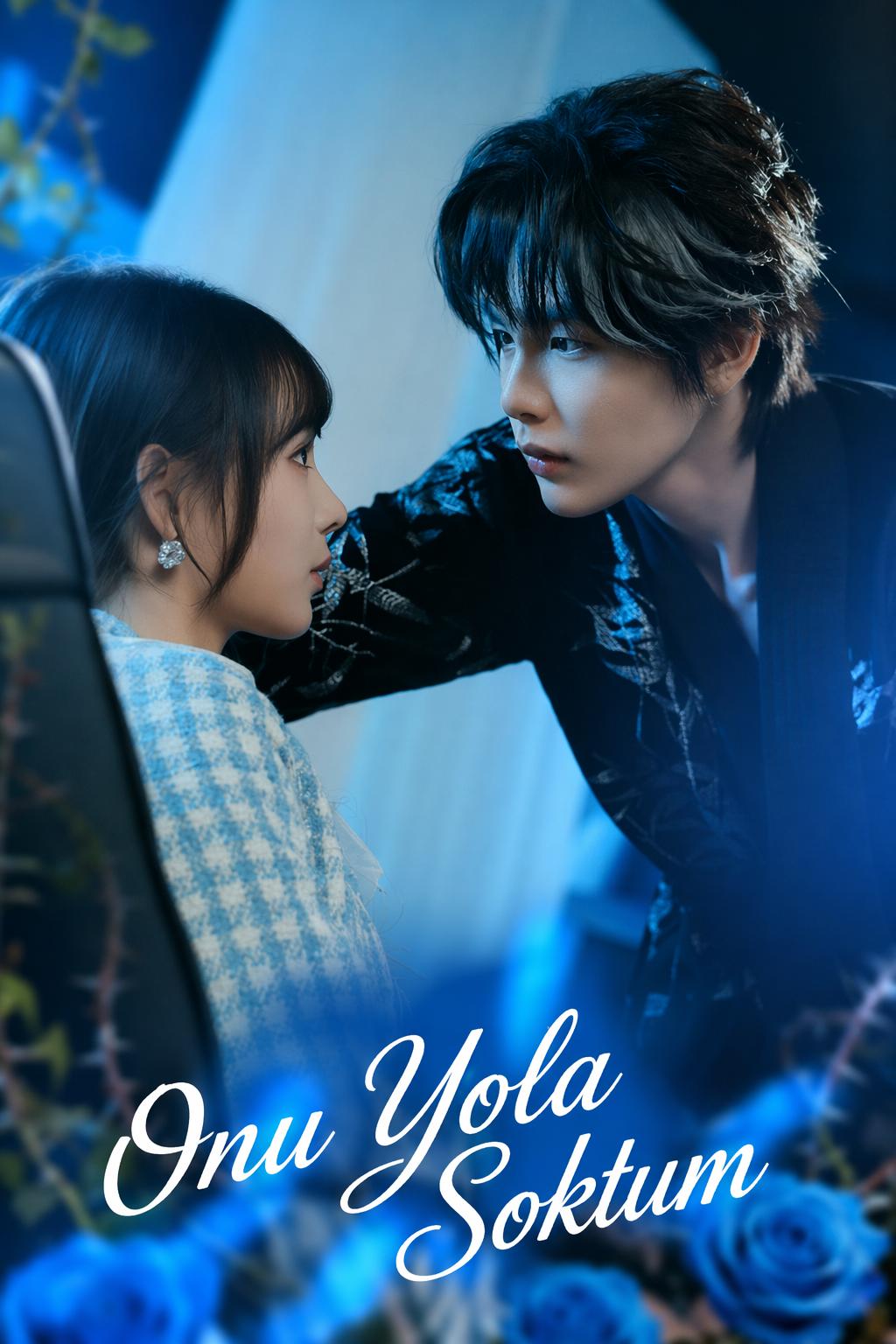 Onu Yola Soktum