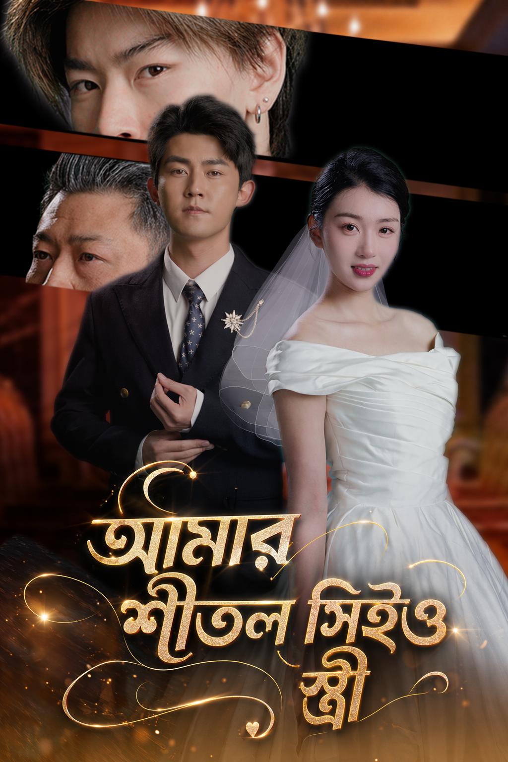 আমার শীতল সিইও স্ত্রী