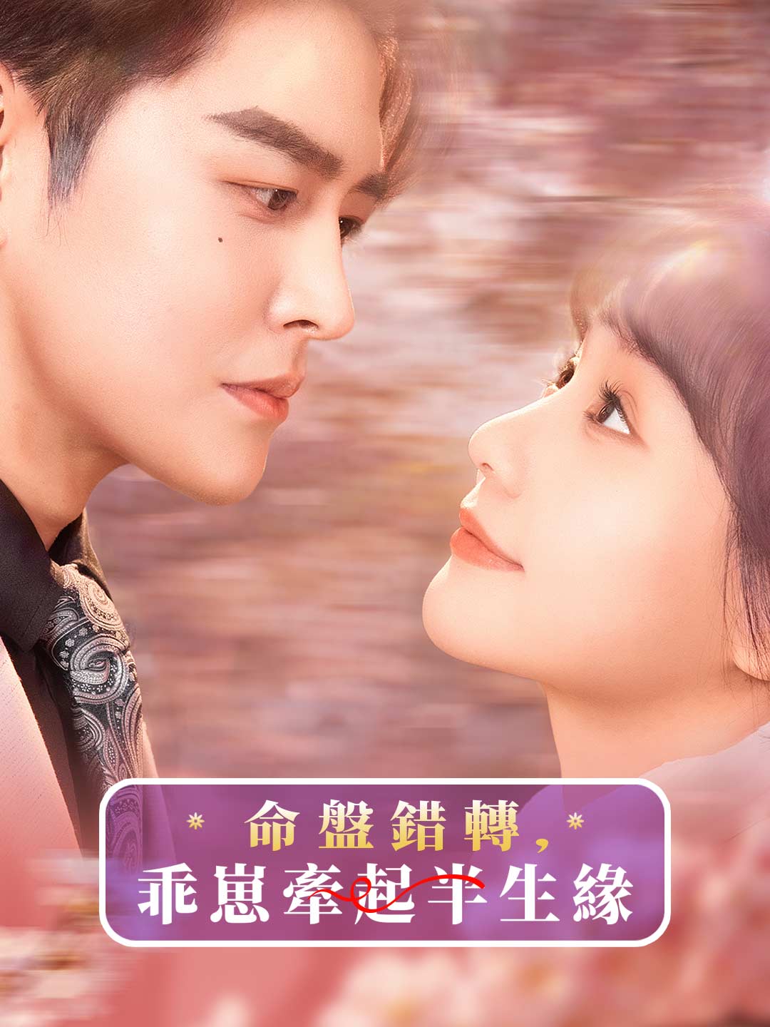 命盤錯轉，乖崽牽起半生緣