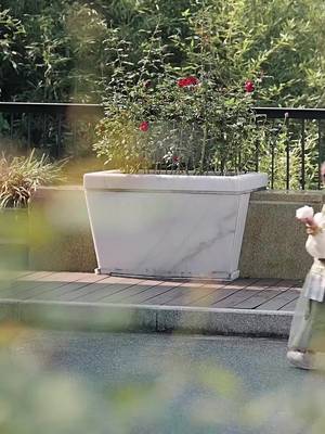鬼神社長の娘は神医