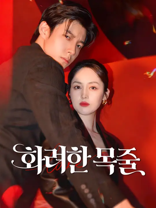 화려한 목줄