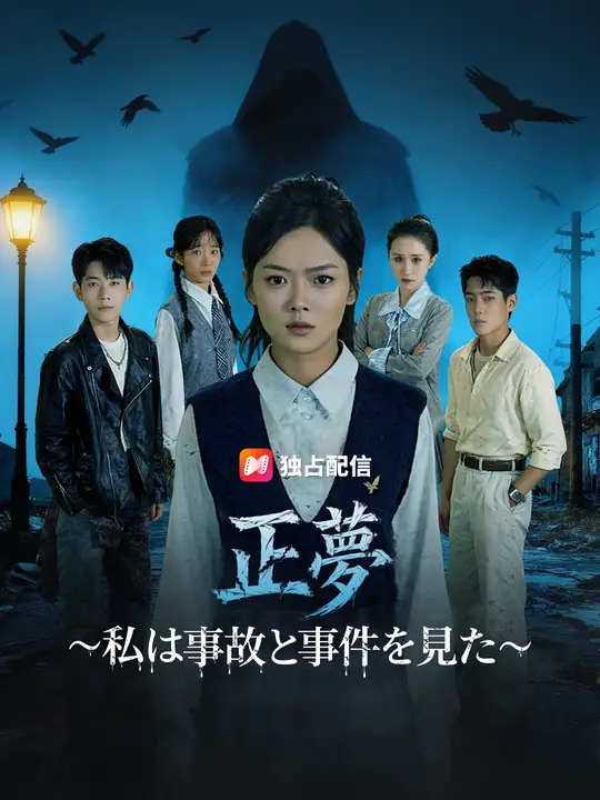 予知夢～私は事故と事件を見た～