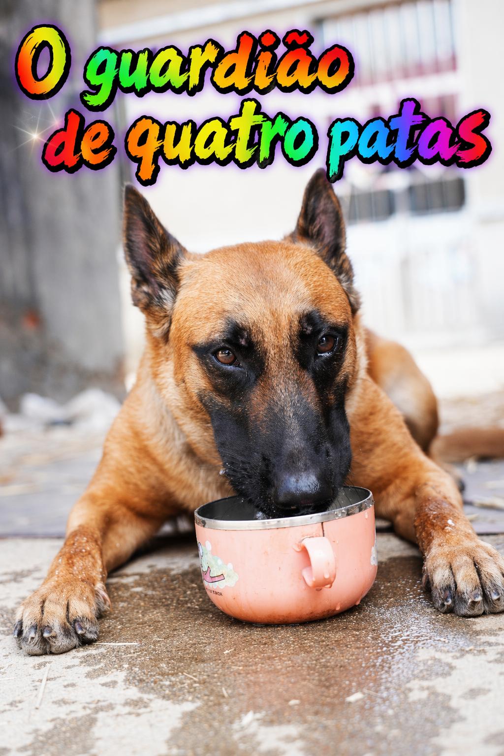 Leo: O Guardião Silencioso