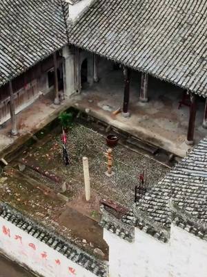 宗师复仇记