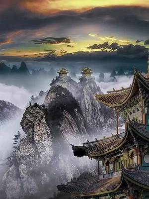 重生宗师