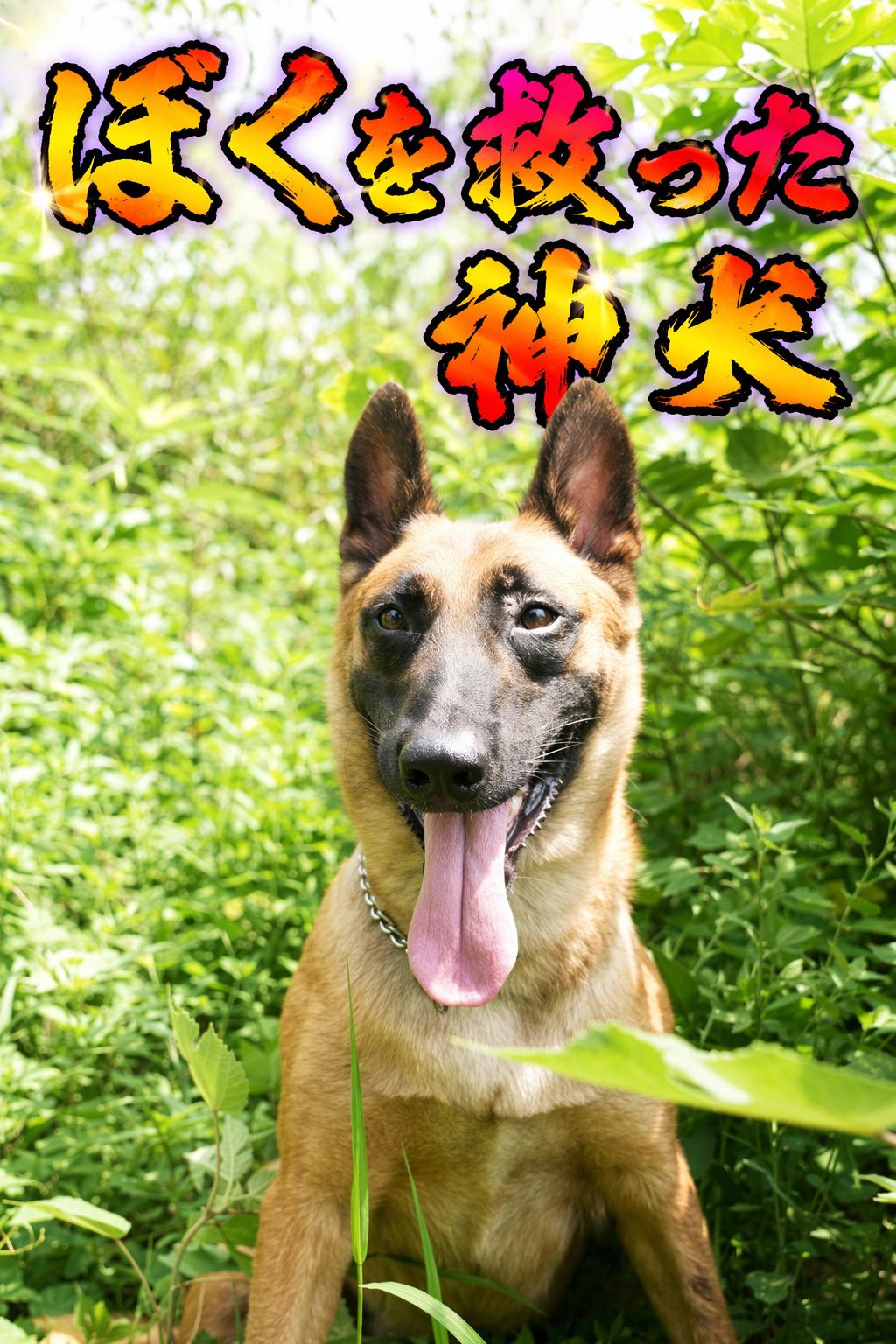 ぼくを救った神犬