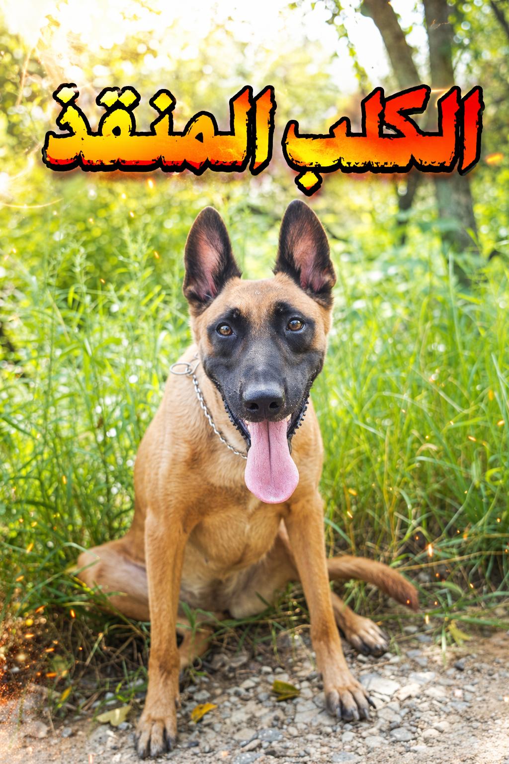 الكلب المنقذ