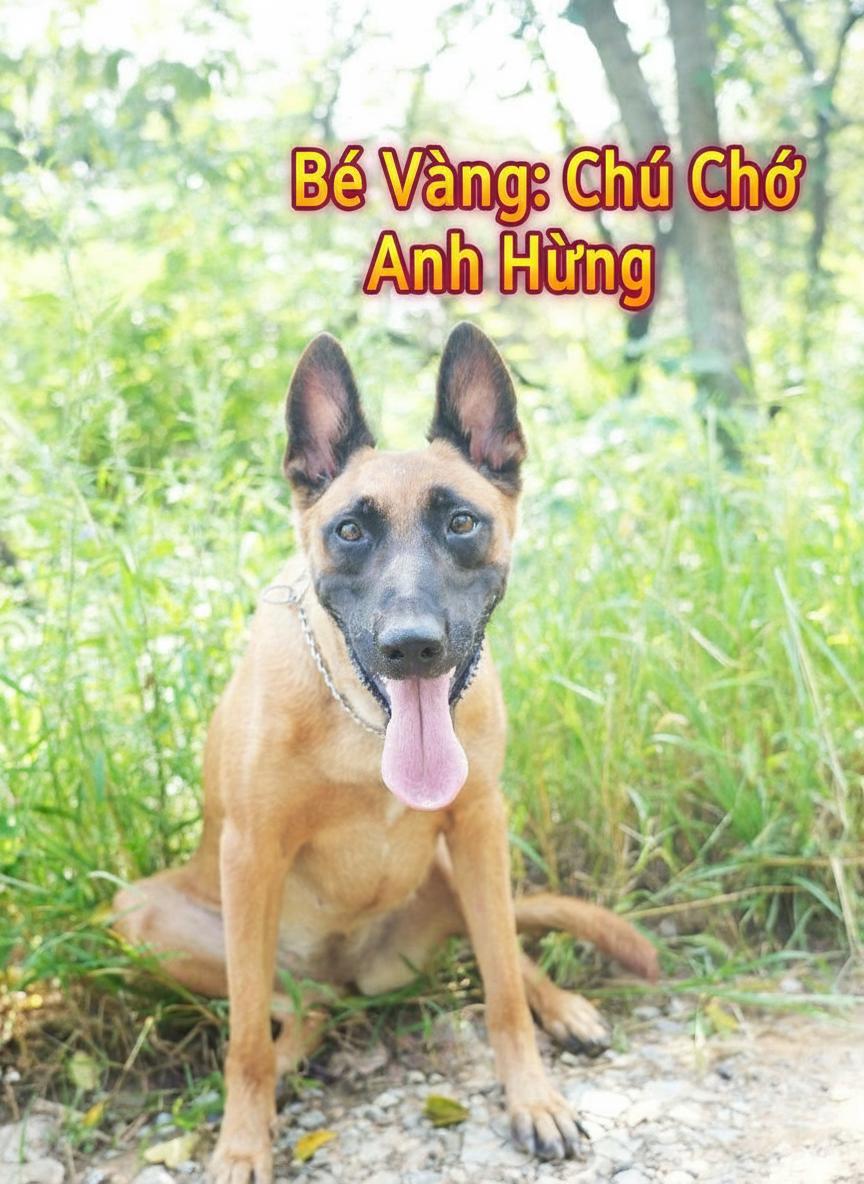 Bé Vàng: Chú Chó Anh Hùng