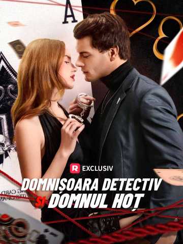 Domnișoara detectiv și domnul hoț