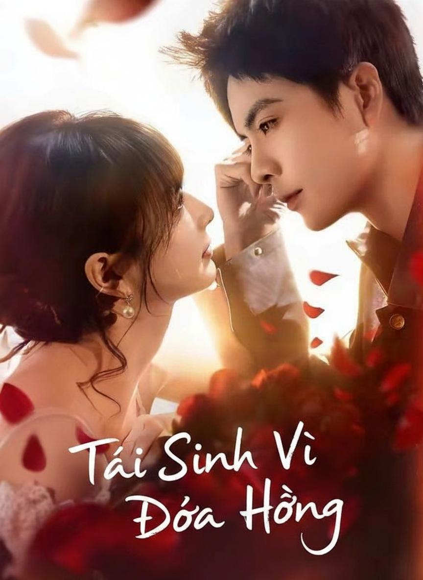 Tái Sinh Vì Đóa Hồng
