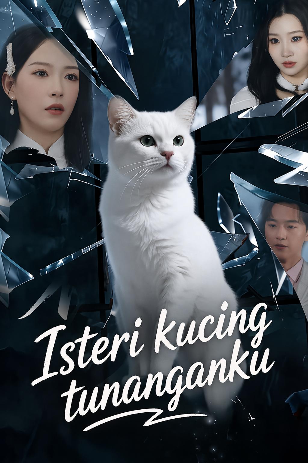 Isteri kucing tunanganku
