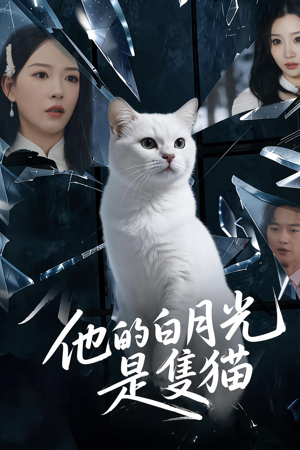 他的白月光是隻貓