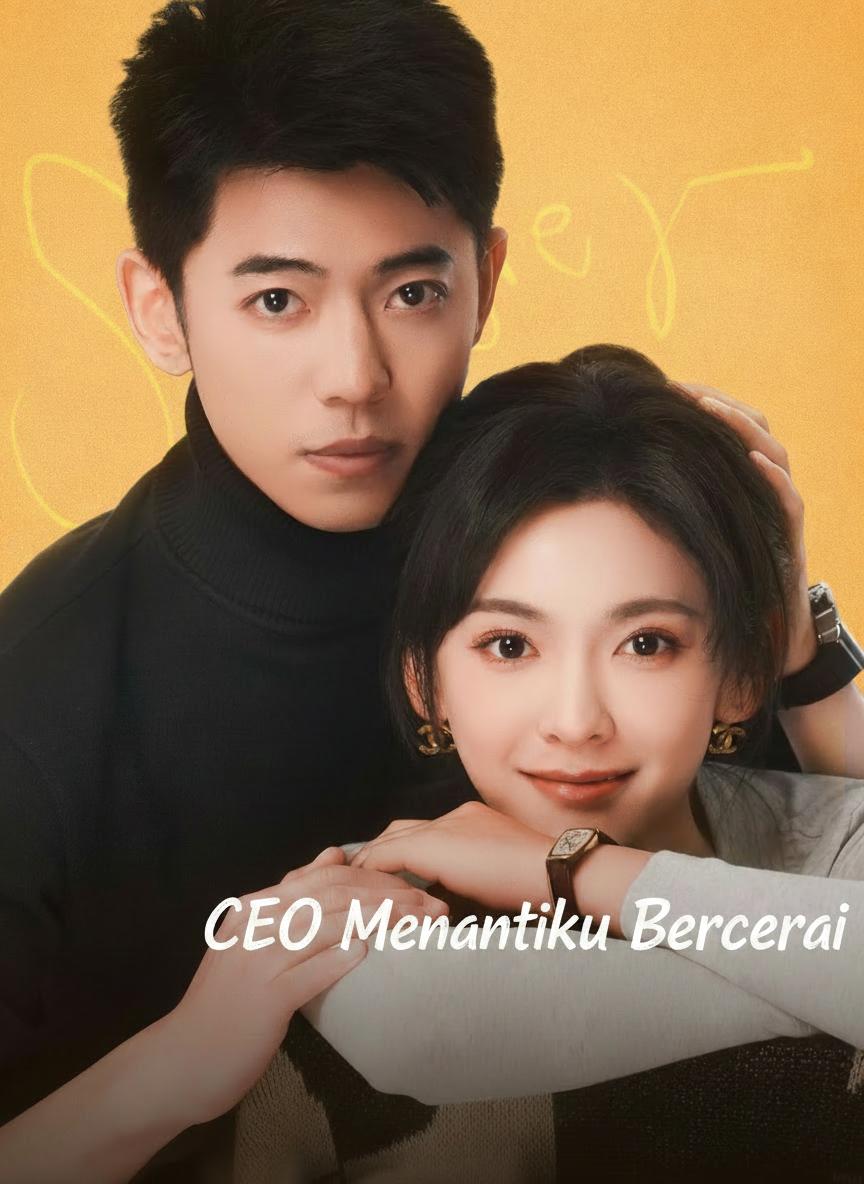 CEO Menantiku Bercerai