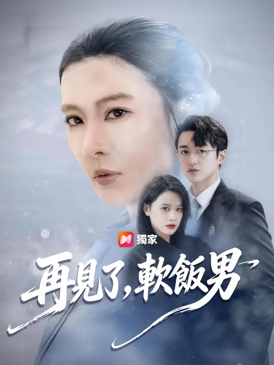 再見了，軟飯男