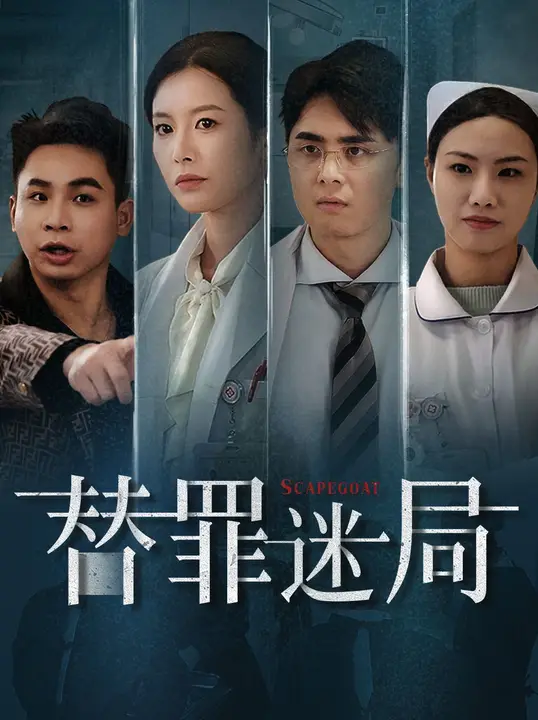替罪迷局